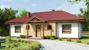 Строительство каркасных домов 