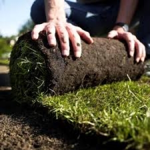 Как устроить рулонный газон?