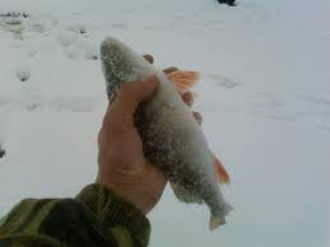 Каждый мужчина может хорошо отдохнуть 