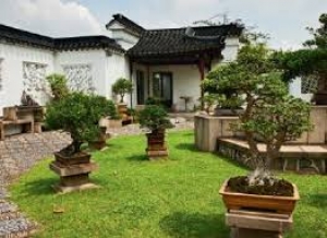 Обустройство дачи