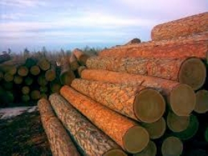 Какой сейчас лучший материал для строительства дома