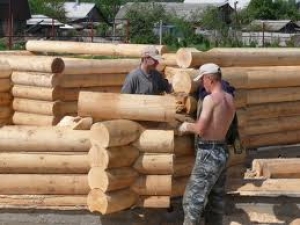 Строительство домов из кедра. 
