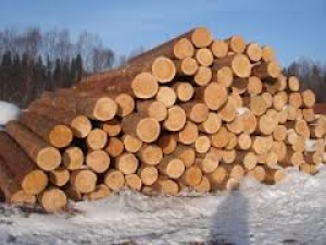 Лес для строительства дома
