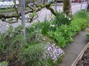 Красивый двор 